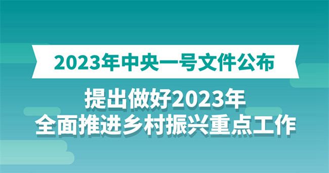 2023年中央一号文件公布 提出做好2023年全面推进乡村振兴重点工作