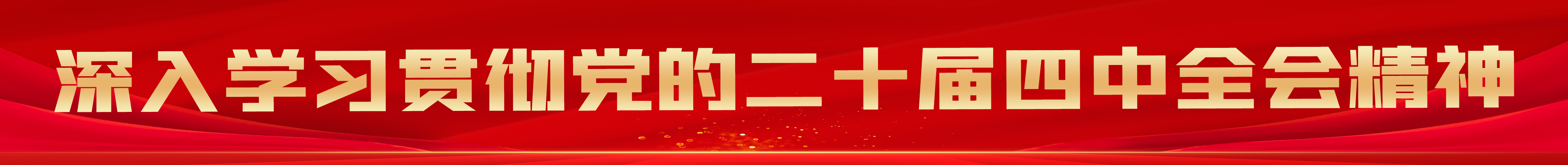 深入学习贯彻党的二十届四中全会精神