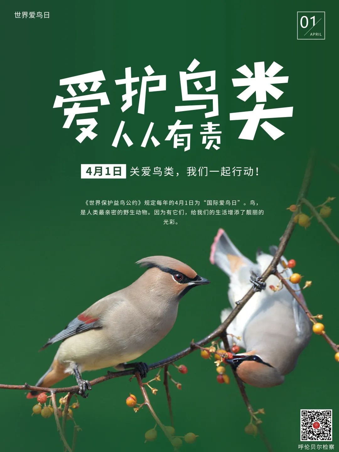 41国际爱鸟日海拉尔区检察院对一起非法狩猎案召开不起诉案件公开听证