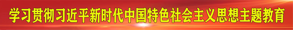 学习贯彻习近平新时代中国特色社会主义思想主题教育