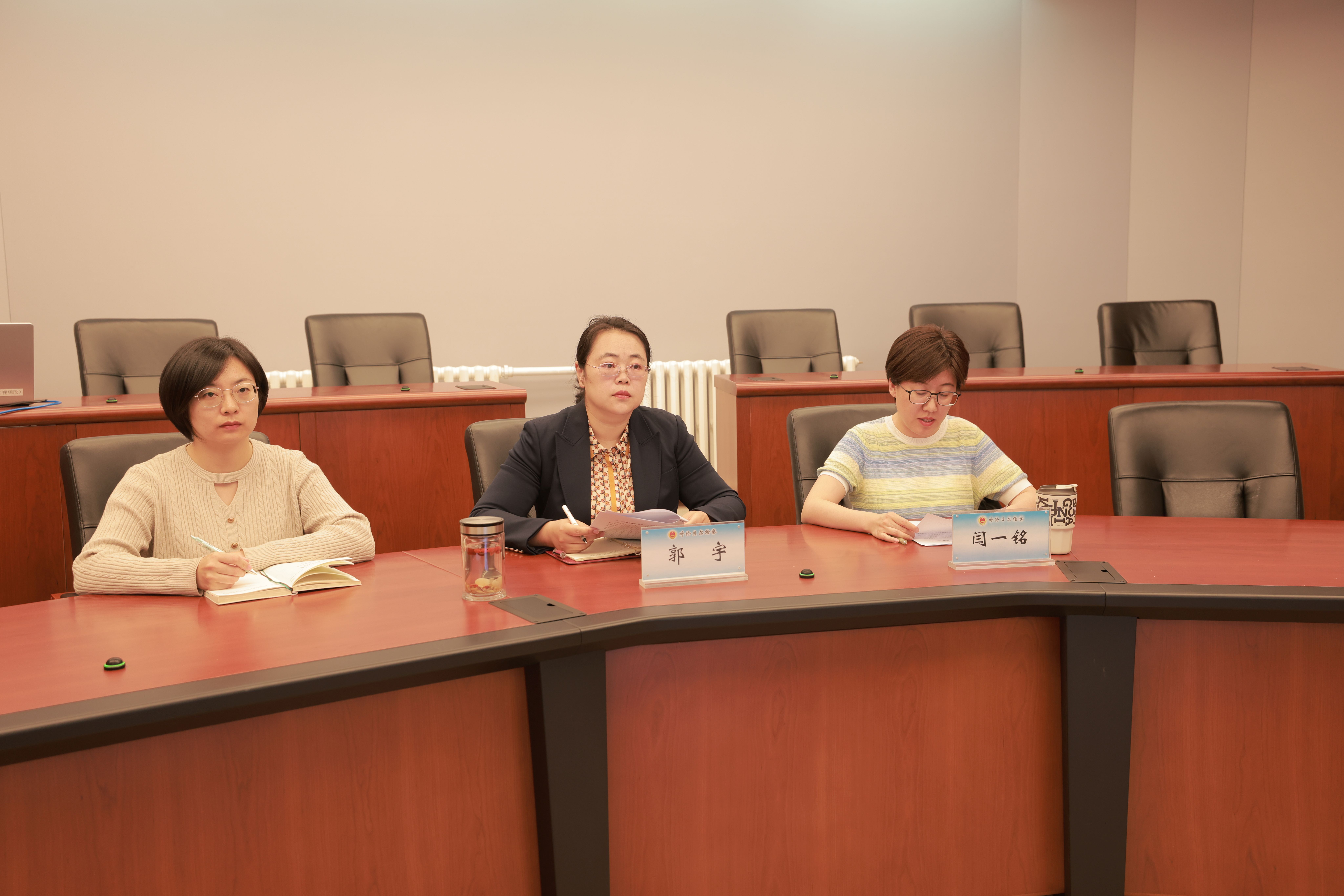 锚定方向 提质增效——呼伦贝尔市检察院召开民事检察工作推进会